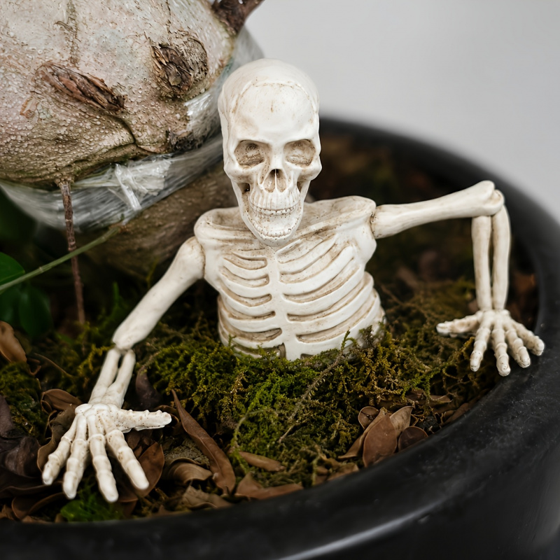 Half-body Climbing Out of the  - Bonsai Garden Landscape Design ulasan dan harga