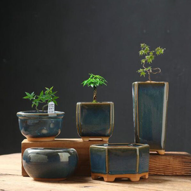 Kiln Transmutation Glazed Eggs - Bonsai Garden Art ulasan dan harga