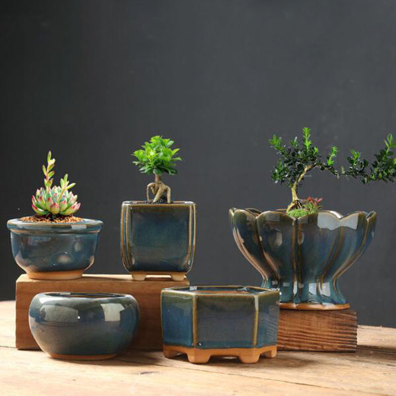 Kiln Transmutation Glazed Eggs - Bonsai Garden Art ulasan dan harga